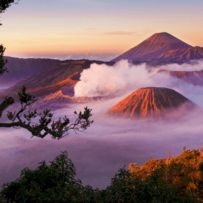 Best of Ubud Private Day Tour