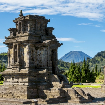 Best of Ubud Private Day Tour