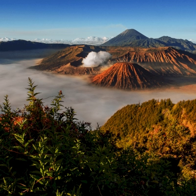 Best of Ubud Private Day Tour